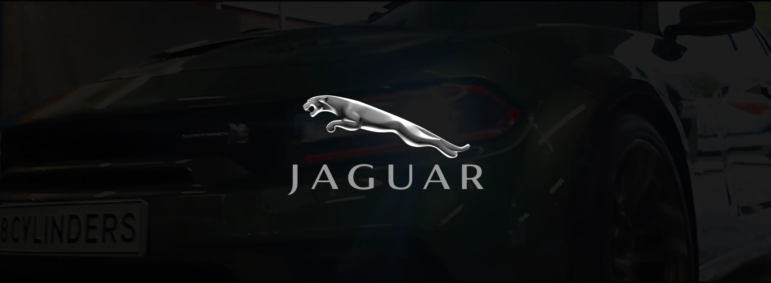 Ремонт Jaguar у Дніпрі — 8 ЦИЛІНДРІВ